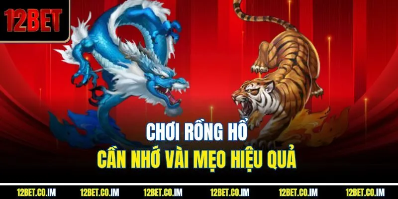 Chơi Rồng Hổ cần nhớ vài mẹo hiệu quả 